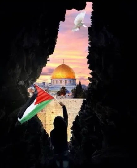 قوافل الخير